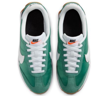 Pacific "Evergreen Aura"