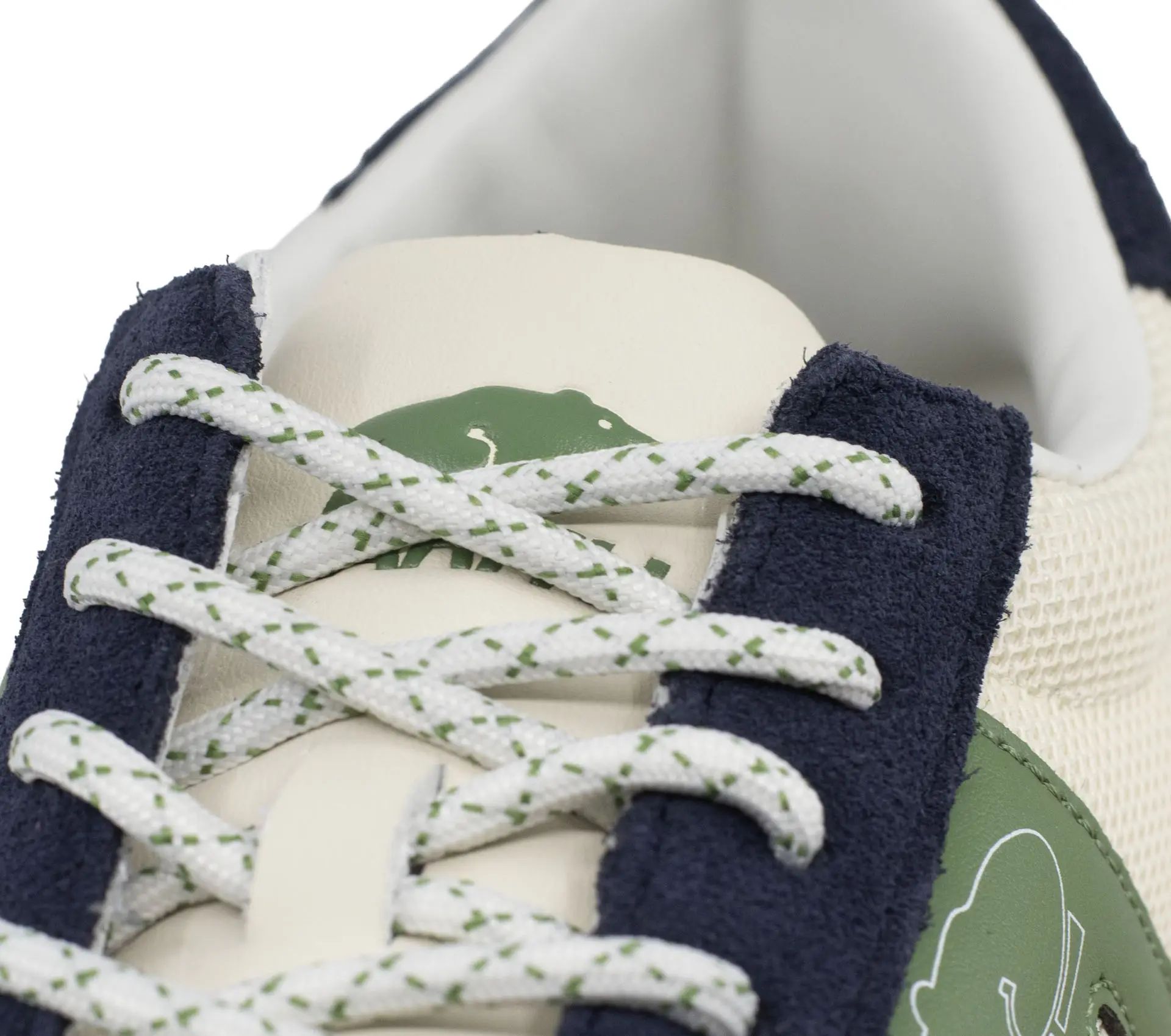 Image #5 of Albatross India Ink / Cactus