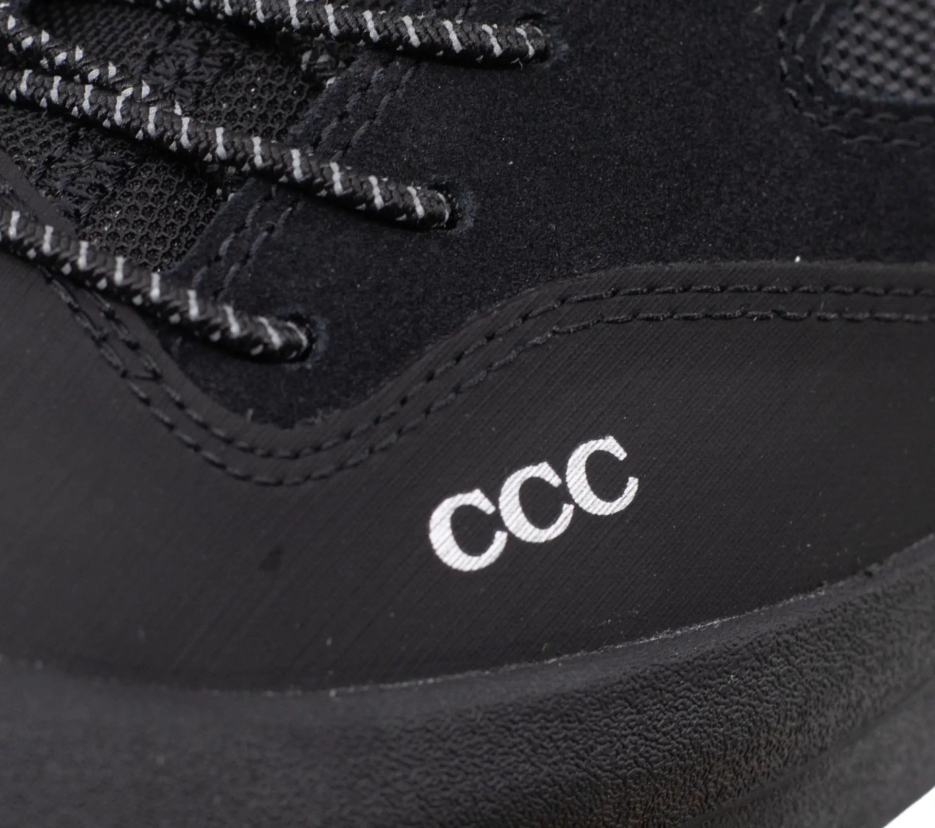 Image #5 of Jasper III x CCC