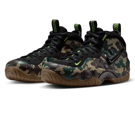 Air Foamposite Pro Premium...