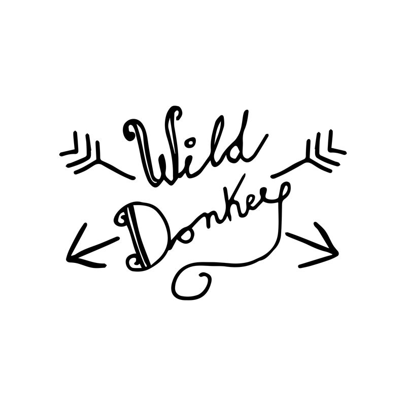 Wild Donkey
